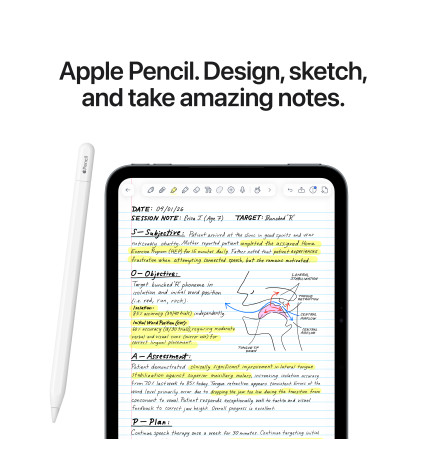 iPad Mini A20 Pro Chip